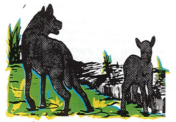 IKIRURA N'UMWANA W'INTAMA